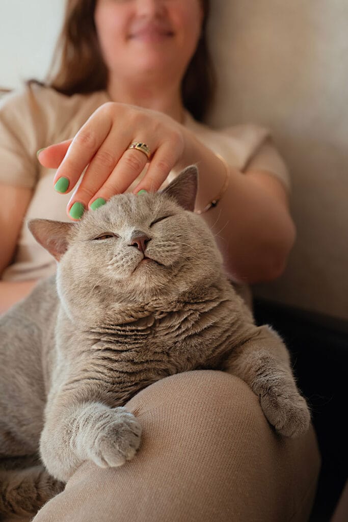 Woman petting cat on the couch